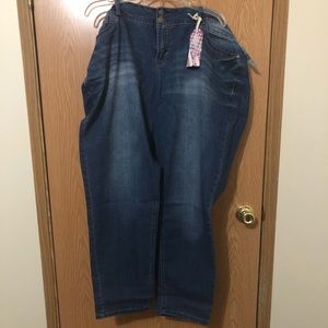 WallFlower Lucious Curvy Skinny Jean size 22